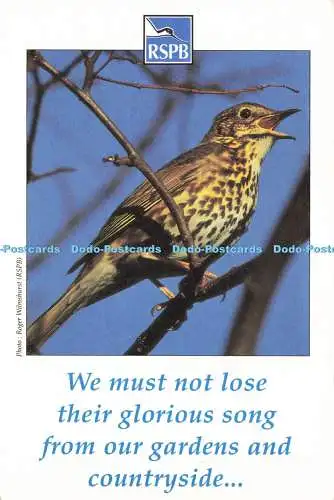 D168058 Wir dürfen ihr glorreiches Lied nicht verlieren. Roger Wilmshurst. Die RSPB