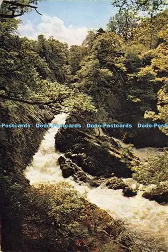 D168333 Betws y Coed. Conway Falls und Salmon Ladder. J. Arthur Dixon