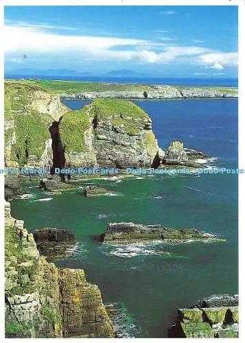 D168429 Sea Cliffs Near South Stack. Dave Newbould. Alpine Press