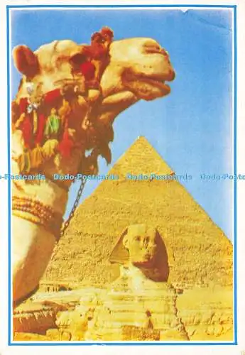 D168430 Gizeh. Die Große Sphinx- und Keops-Pyramide. M. G. New Hop. Amon