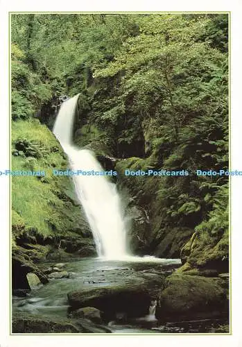 D168526 Wales. Dolgoch Falls. In der Nähe von Tywyn. Gwynedd. J. Arthur Dixon. Guy Passmore