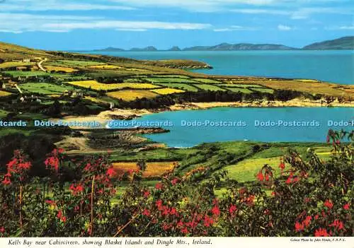 D170434 Irland. Kells Bay in der Nähe von Cahirciveen zeigt Blasket Islands und Dingle M