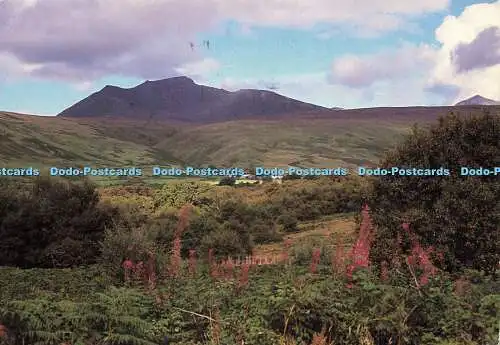 D170476 Beinn Tarsuinn. Pavilion Publishing