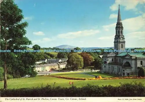 D170481 Irland. Die Kathedrale von St. Patrick und St. Phelim. John Hinde. D. Nob