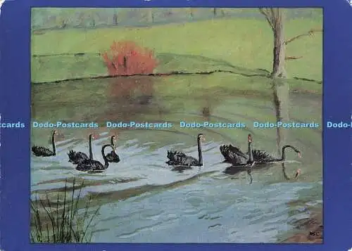 D170555 Black Swans bei Chartwell. Winston S. Churchill. Gordon Fraser Gallery. A