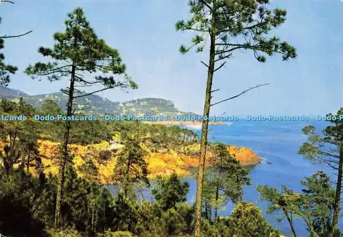 D170642 Esterel. La Corniche d oder Vers le Trayas. C.A.P