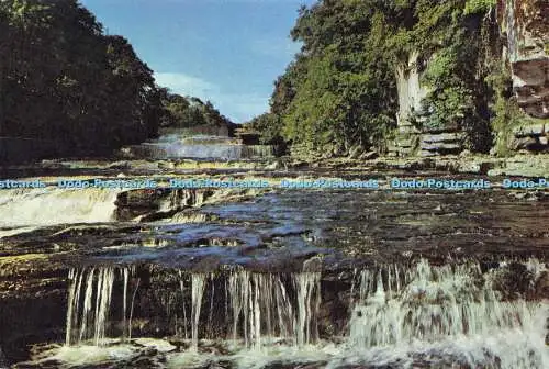 D170652 Yorkshire. Aysgarth Lower Force. J. Arthur Dixon. 1968