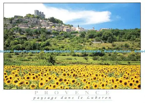 D171699 Provence. Paysage Dans le Luberon. Ajax Monaco. A. Abgabe