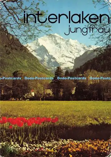 D168872 Interlaken. Jungfrau. Wefo