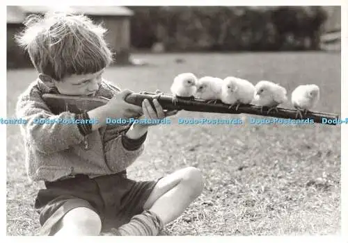 D168914 Sammlung Hulton Deutsch. Kinderspiel. Anonyme. Desastre