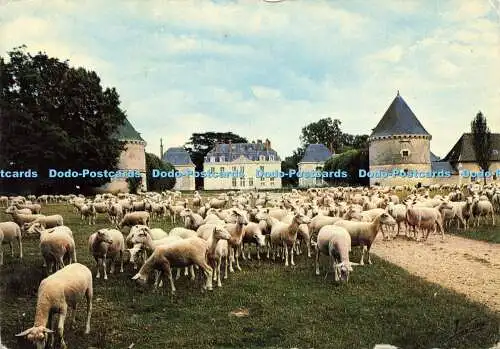 D170730 Les Environs de Chateau Renault Authon. Le Fresne. Valoire. 1978