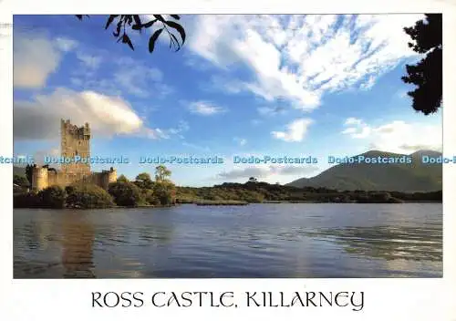 D170770 Killarney. Ross Castle. John Hinde. V. MacNamara