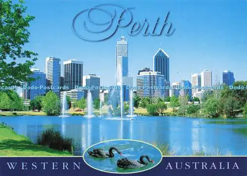 D171837 Perth. Western Australia. Davric Australia. Sofortreaktion Postkarten.