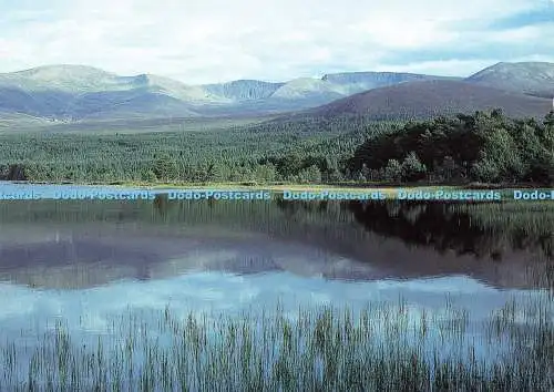 D171840 Cairngorms. Loch Morlich. Und die Northern Corries. Phil Banks