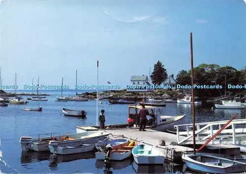 D170824 Maine. Gemütlicher Hafen. West Southport. Die Maine-Szene. Beth McAuslin