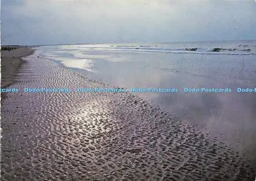 D170872 Norfolk. Brancaster Beach. The National Trust. David Gentleman