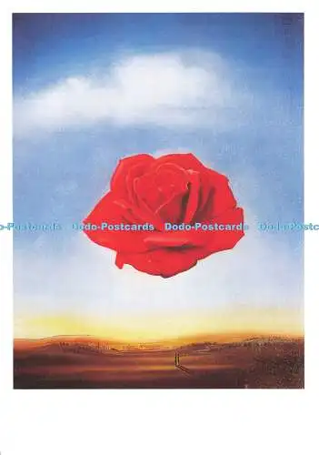 D169246 Rose. Meditativ. Salvador Dali. Hazan