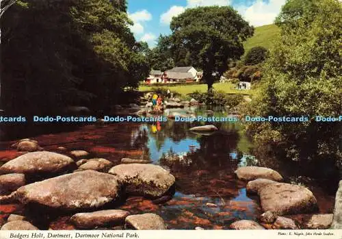 D172152 Dartmoor Nationalpark. Badgers Holt. Dartmeet. John Hinde. E. Nagele