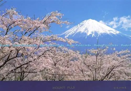 D169302 Mount Fuji. Präfektur Shizuoka. N. B. C. Nippon Beauty Colour