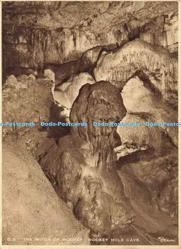 D173489 Wookey Hole Cave. Die Hexe von Wookey. J. Arthur Dixon