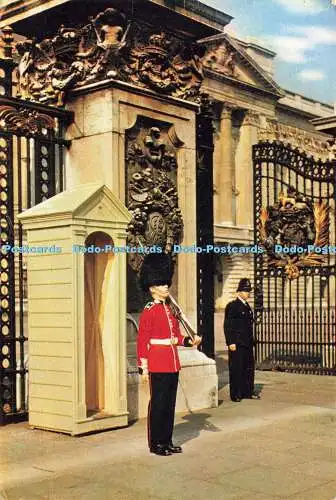 D173554 Ein schottischer Gardist auf Wache im Buckingham Palace. J. Arthur Dixon. 1961