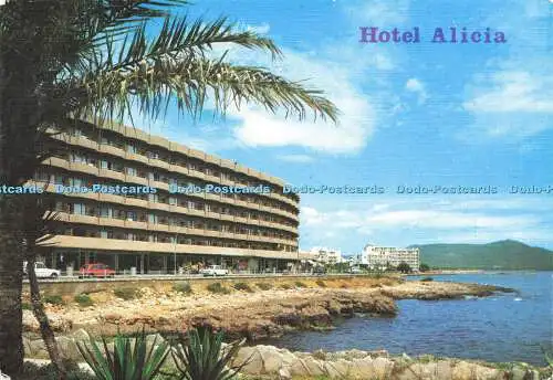 D169429 Hotel Alicia. Cala Millor. Fotoperator