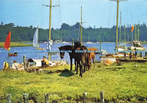 D171249 Bucklers Head. Jetzt beschäftigt mit Yachten und Touristen. J. Arthur Dixon