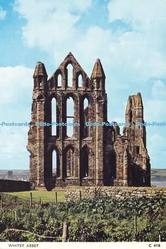 D173609 Whitby Abbey. Richter. C. 416