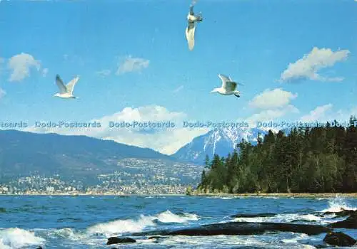 D169472 Kanada. Vancouver. B. C. English Bay. Natürliche Farbproduktionen. Majesti