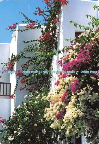 D173674 Hellas. Griechenland. Spyros Spyrou. Fotogalerie
