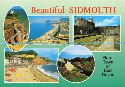 D169533 Schöner Sidmouth. Blumenstadt East Devon. J. Salmon. Multi View