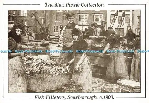 D169632 The Max Payne Collection. Scarborough. Fischfileter. E. T. W. Dennis