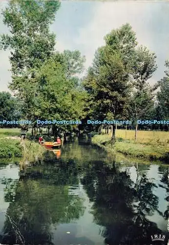 D173845 Marais Poitevin. La Venise Verte. Modernes Theojac. Mexichrom. 1965