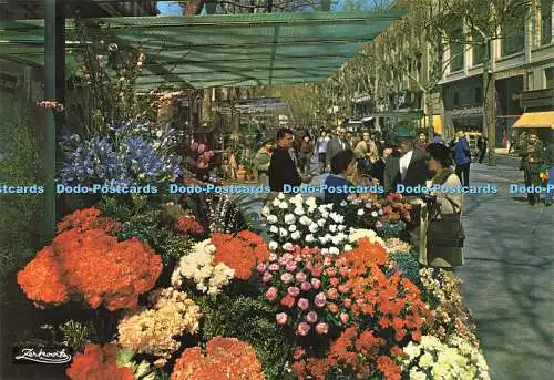 D171491 Barcelona. Rambla der Blumen. A. Zerkowitz. Nr. 2. 020