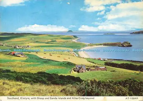 D169677 Southend. Kintyre. Mit Sheep and Sands Islands und Ailsa Craig Beyond.