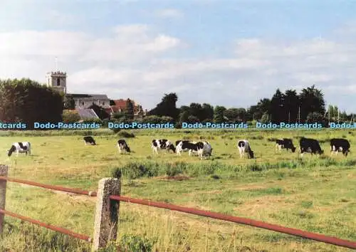 D169681 Wareham. Dorset. Ein Blick über die Felder von Stoborough bis ins antike