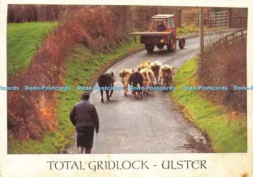 D171505 Ulster. Total Gridlock. John Hinde. Esler Crawford