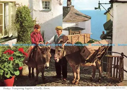 D172596 Devon. Eseltransportzubehör. Clovelly. John Hinde. E. Ludwig