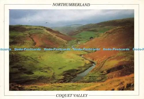 D171557 Northumberland. Coquet Valley. Michael Goonan. Szenische Fotos