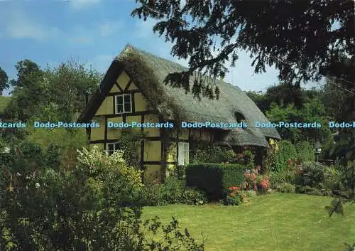 D171629 Devon. Reetdachhaus. Cottage Gardens. Kapitel und Strophe. Tom Mackie