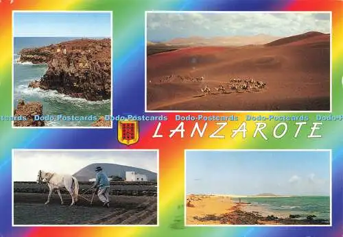 D172693 Lanzarote. Islas Canarias. Los Hervideros. Fisa. Gomez Galdon. Multi Vie