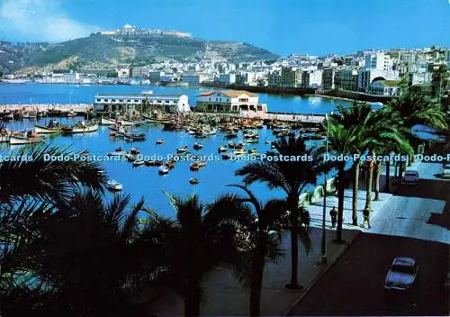 D171656 Ceuta. Muelle de Pescadores Desde el Paseo de las Palmeras. Lib. Allgemein