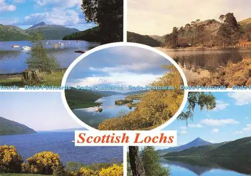 D169841 Scottish Lochs. Loch Eck. Whiteholme. Schottland im Fokus. Multi View