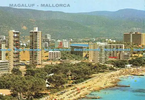 D169901 Magaluf. Mallorca. Hoteles Mallorquines. Icaria