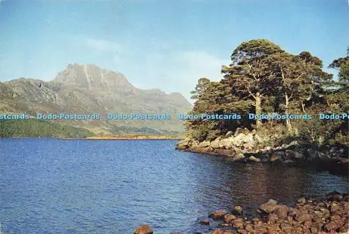 D169906 Wester Ross. Loch Maree. J. Arthur Dixon