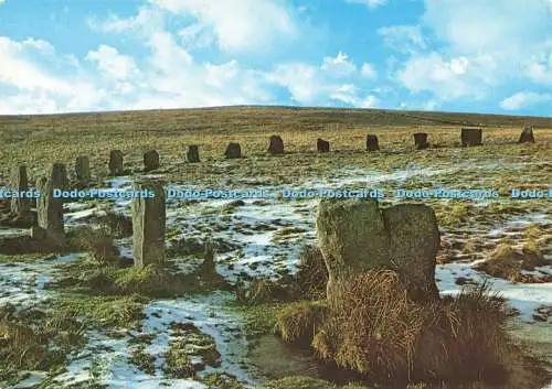 D172773 grauer Wethers Steinkreis nahe Sittaford Tor. C. Chapman. Dartmoor Natio