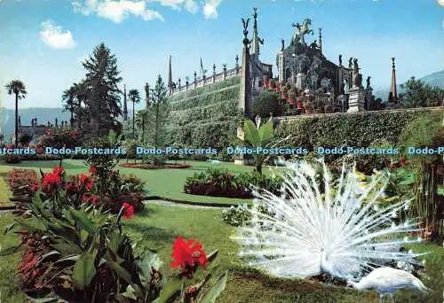 D175548 Giardini dell Isola Bella. Lago Maggiore. Reggiori