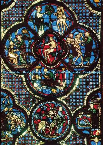 D174233 Cathedrale de Chartres. Eure et Loir. Extrait de la Parabole du Bon Sama