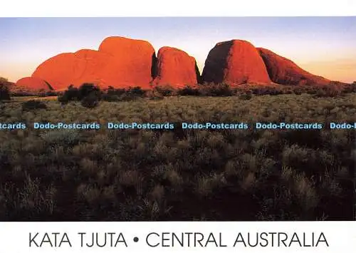 D172969 Zentralaustralien. Kata Tjuta. Nucolorvue Productions