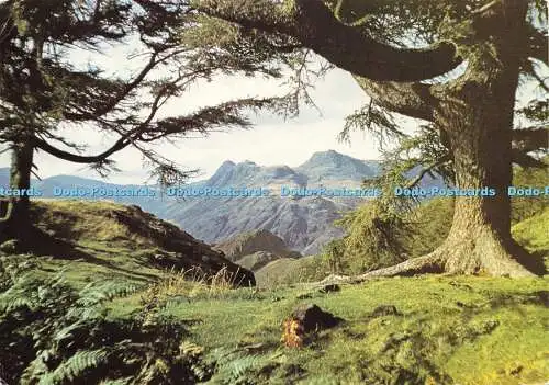 D175598 Cumbria. Die Langdale Hechte von Lingmoor Fell. J. Arthur Dixon. Kenneth